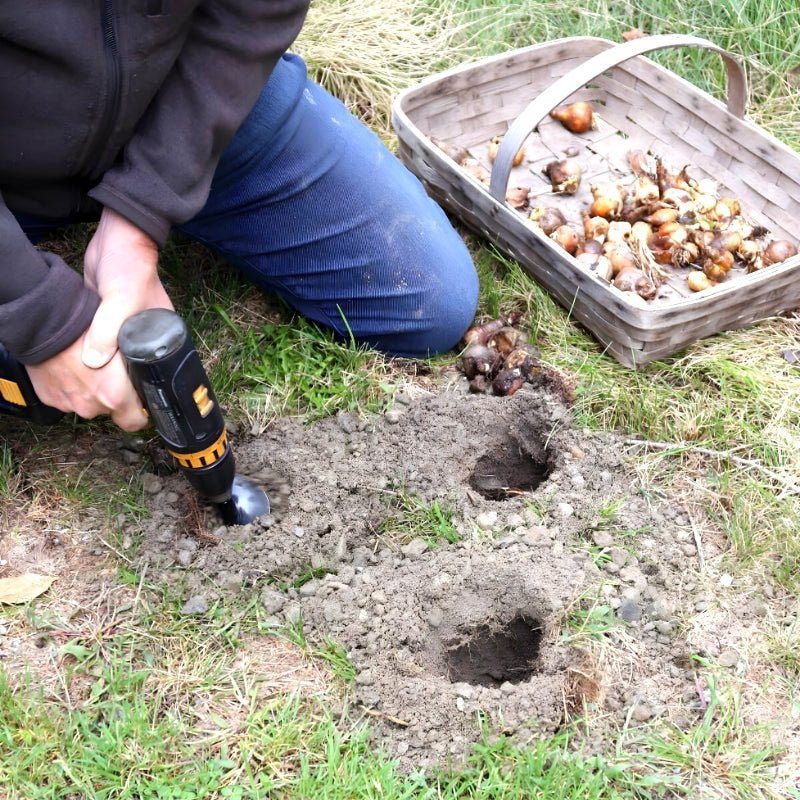 Planting Pro™ - Creëer met gemak een prachtige tuin!